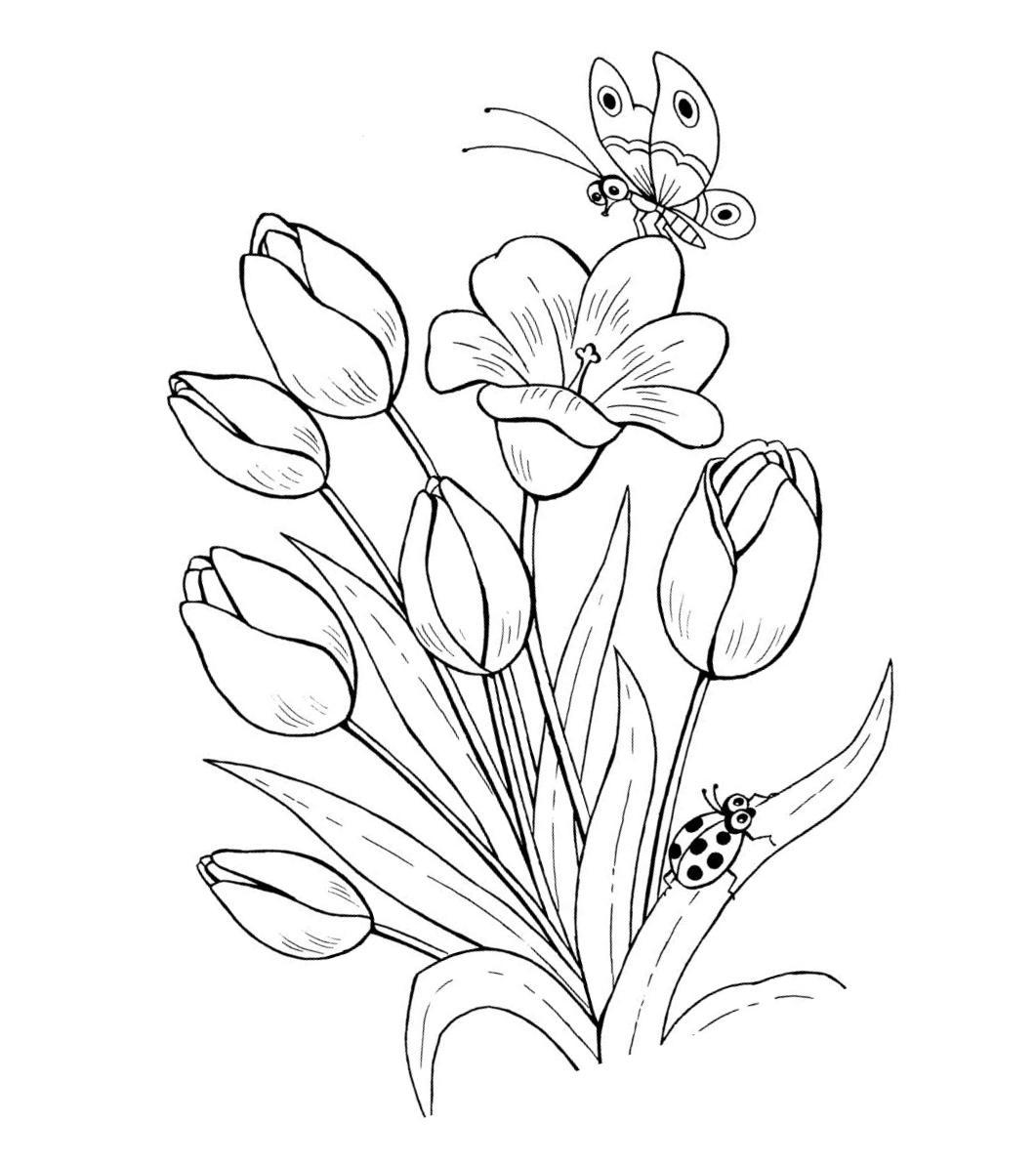 Бабочка и цветы, раскраска — Заюшка