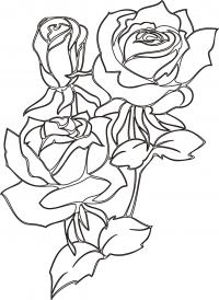 Раскраски цветы и букеты роза 