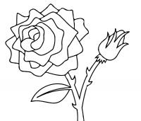 Цветок розы с бутоном картинки раскраски ,детские раскраски, распечатать, скачать 