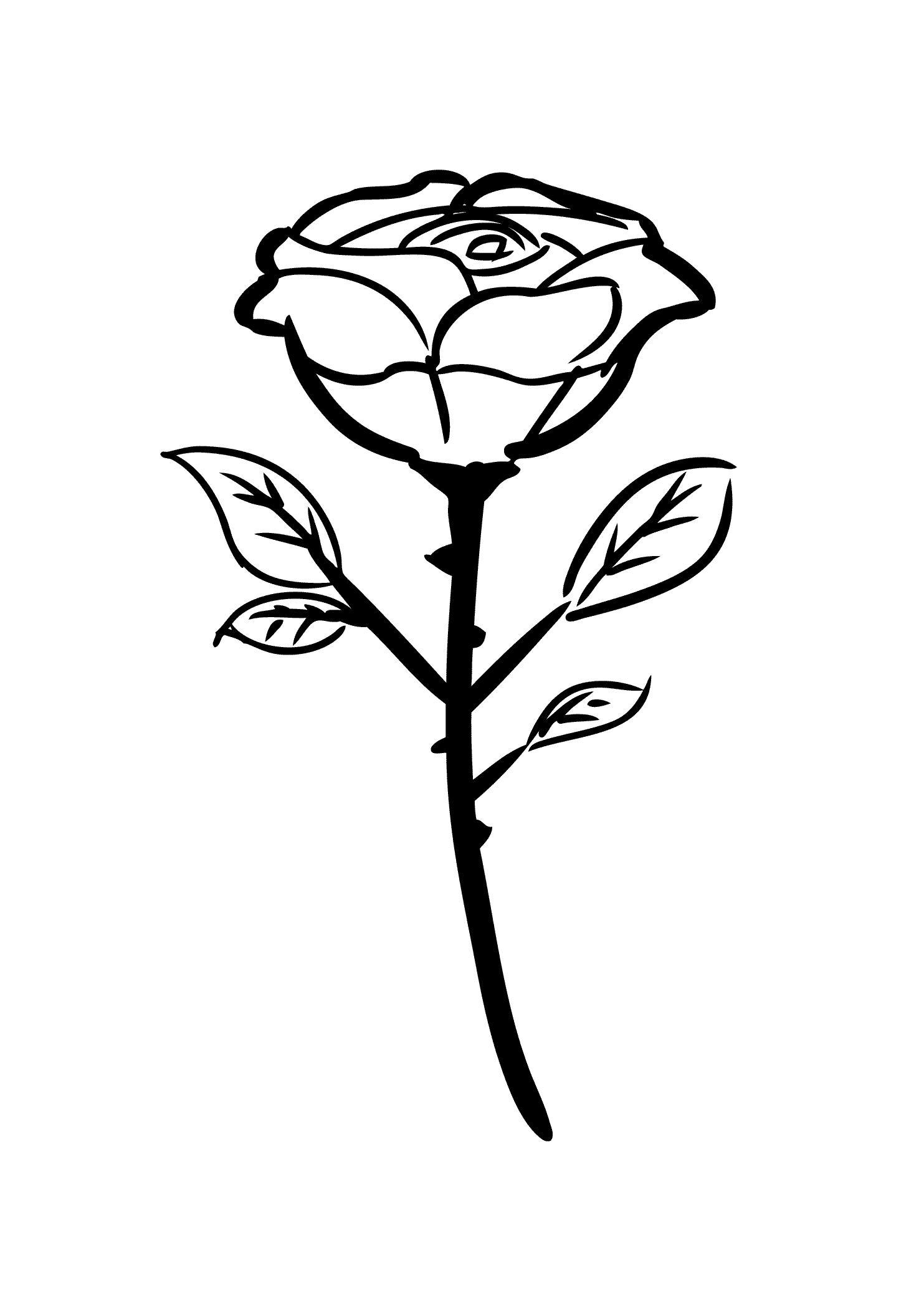 Картинки раскраски роза (54 фото)