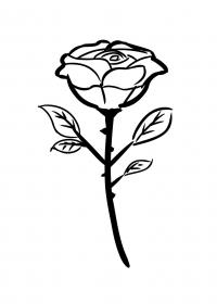 Раскраска цветок розы 