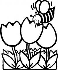 Тюльпаны с пчелкой 