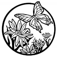 Цветы с бабочкой для росписи тарелок 
