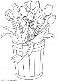 Тюльпаны в деревянном ведре 