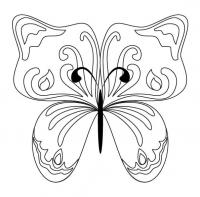 Бабочка узоры с цветами 