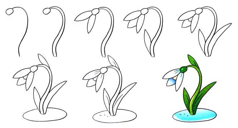 Раскраски подснежники: распечатать или скачать бесплатно | irhidey.ru