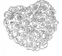 Розы в форме сердца 