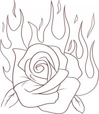 Роза в огне 