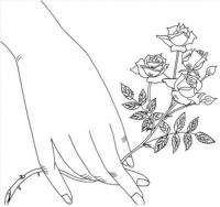 Розы в руке 