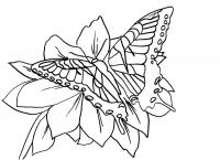 Бабочка на цветке 