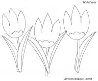 Три тюльпана 