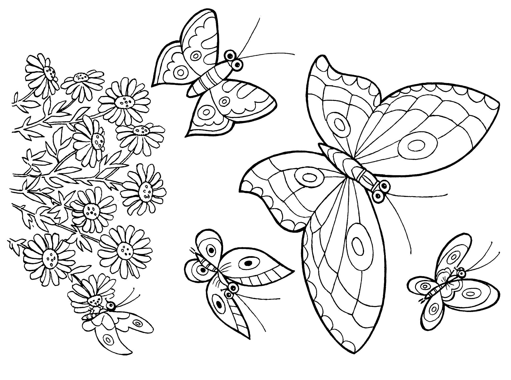 Раскраска Цветок с бабочкой