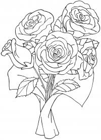 Раскраски букет цветы, розы, букет 