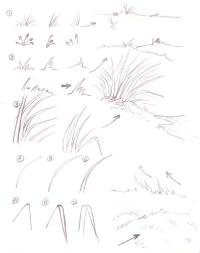 Как нарисовать различную траву 