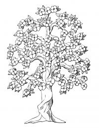 Дерево в цвету с закрученным стеблем 