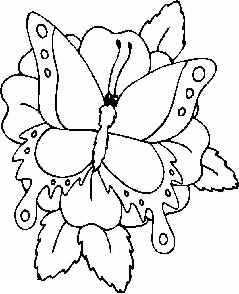Цветы, бабочки, букашки. 1+ Самые первые раскраски с широким контуром