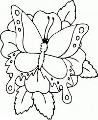 Детские картинки бабочки цветочки 